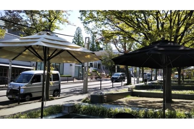 今日から、10月(^-^)/